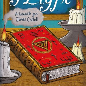 Cyfres Amdani: Y Llyfr
