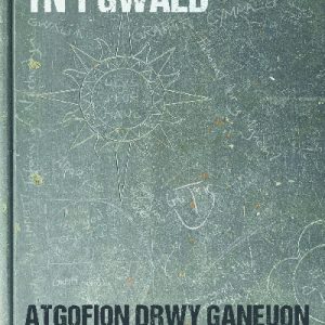 Atgofion drwy ganeuon: Llechan yn y Gwaed