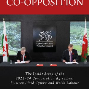 The Politics of Co-Opposition
