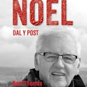 Llythyr Noel