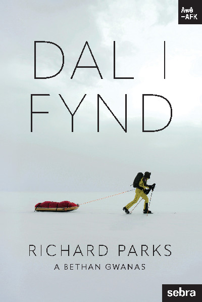 Stori Sydyn: Dal i Fynd
