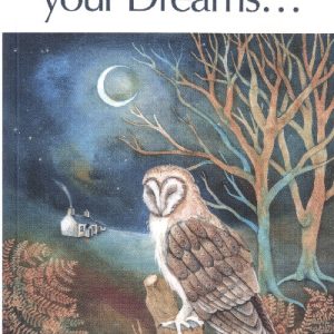 Beware your Dreams...