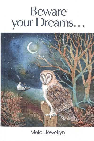 Beware your Dreams...